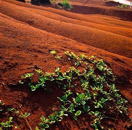 Kakao Games推出全新手游动作RPG《女神秘令》 9月24日全球同步上线！